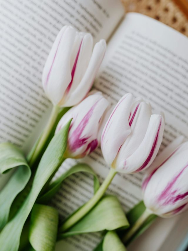 How to make Tulips stand up